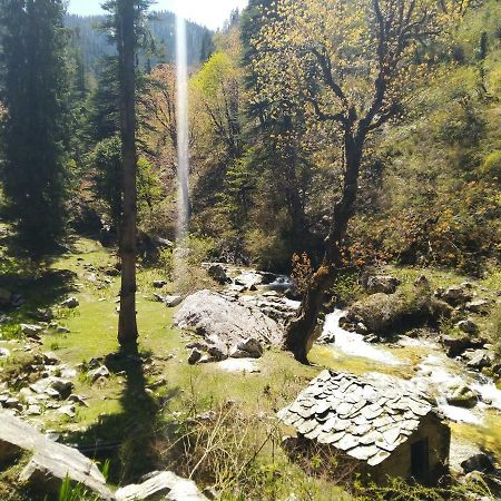 Latoda Eco Lodge Jibhi Екстериор снимка