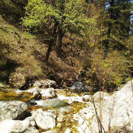 Latoda Eco Lodge Jibhi Екстериор снимка