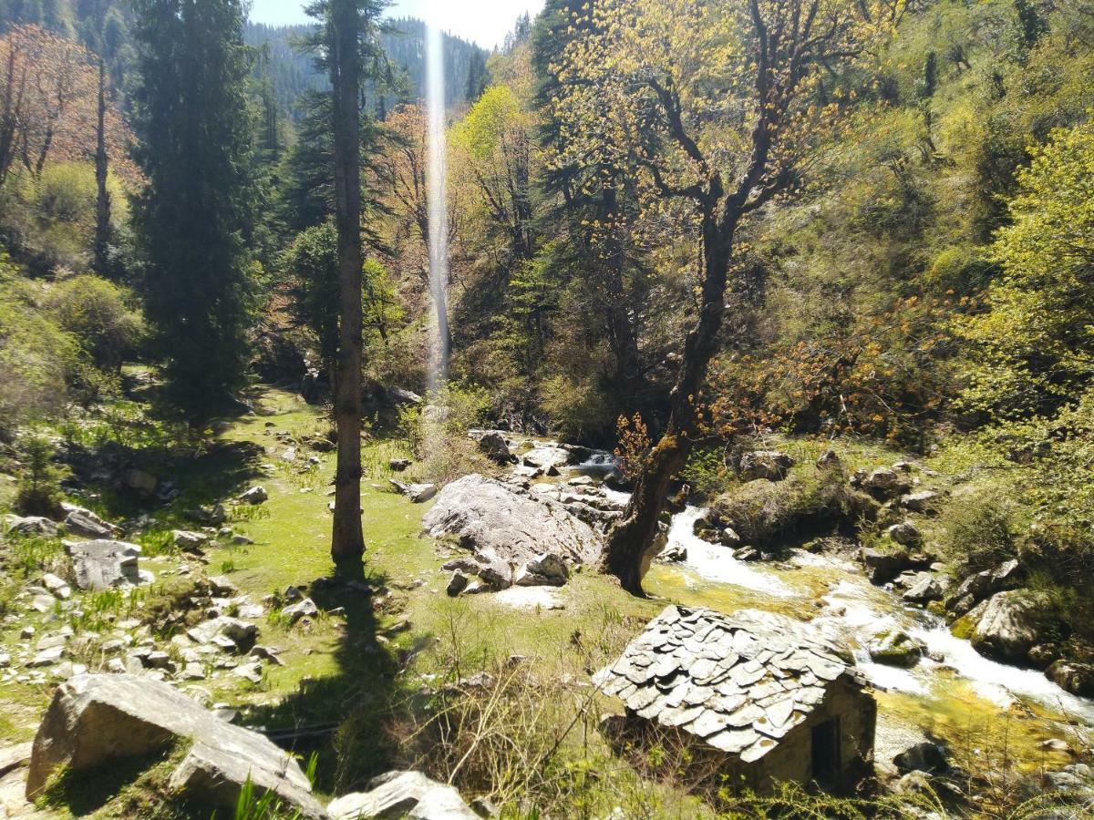 Latoda Eco Lodge Jibhi Екстериор снимка