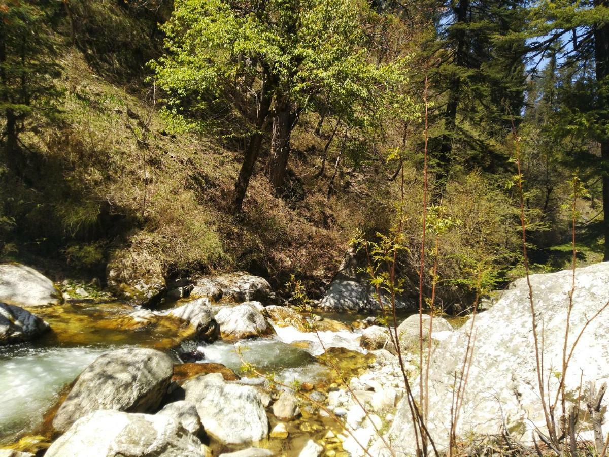 Latoda Eco Lodge Jibhi Екстериор снимка